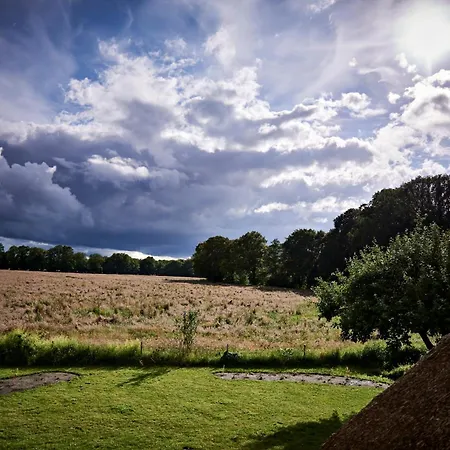 Reetdach-villa Mit Blick In - 160m² Entspannung Pur Jersbek